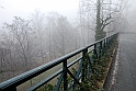 Nebbia 15_01_2011 - Monte dei Cappuccini_20